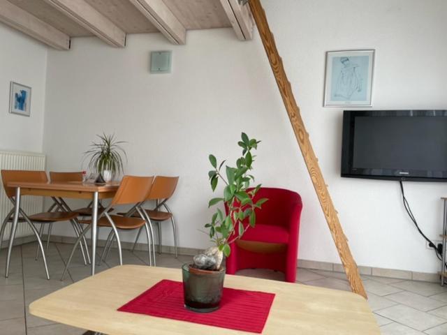 אימנשטאדט אם בודנזה Haus Lorenz, Ferienwohnungen מראה חיצוני תמונה