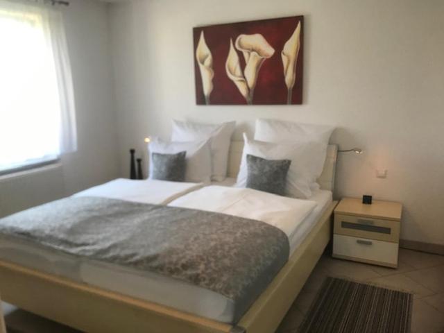אימנשטאדט אם בודנזה Haus Lorenz, Ferienwohnungen מראה חיצוני תמונה